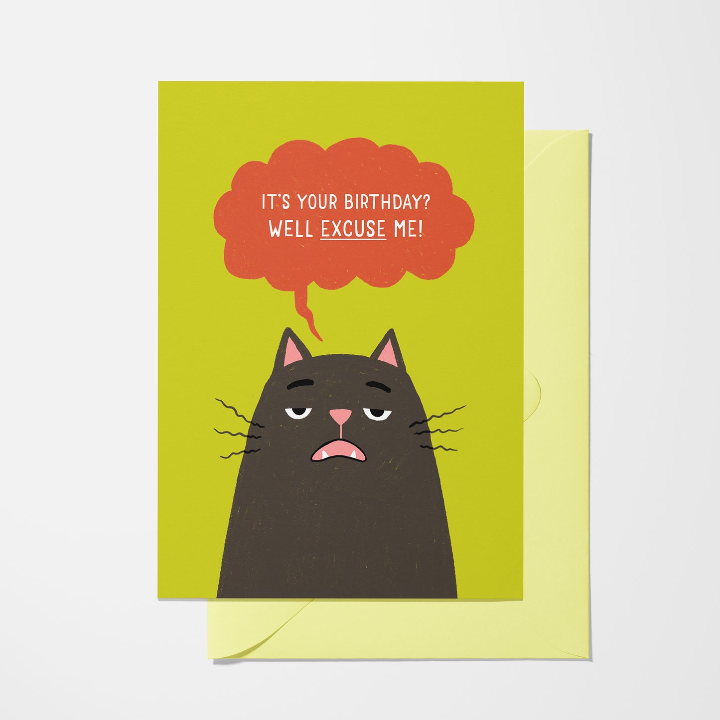 Excuse Me - Cat Birthday Greeting Card