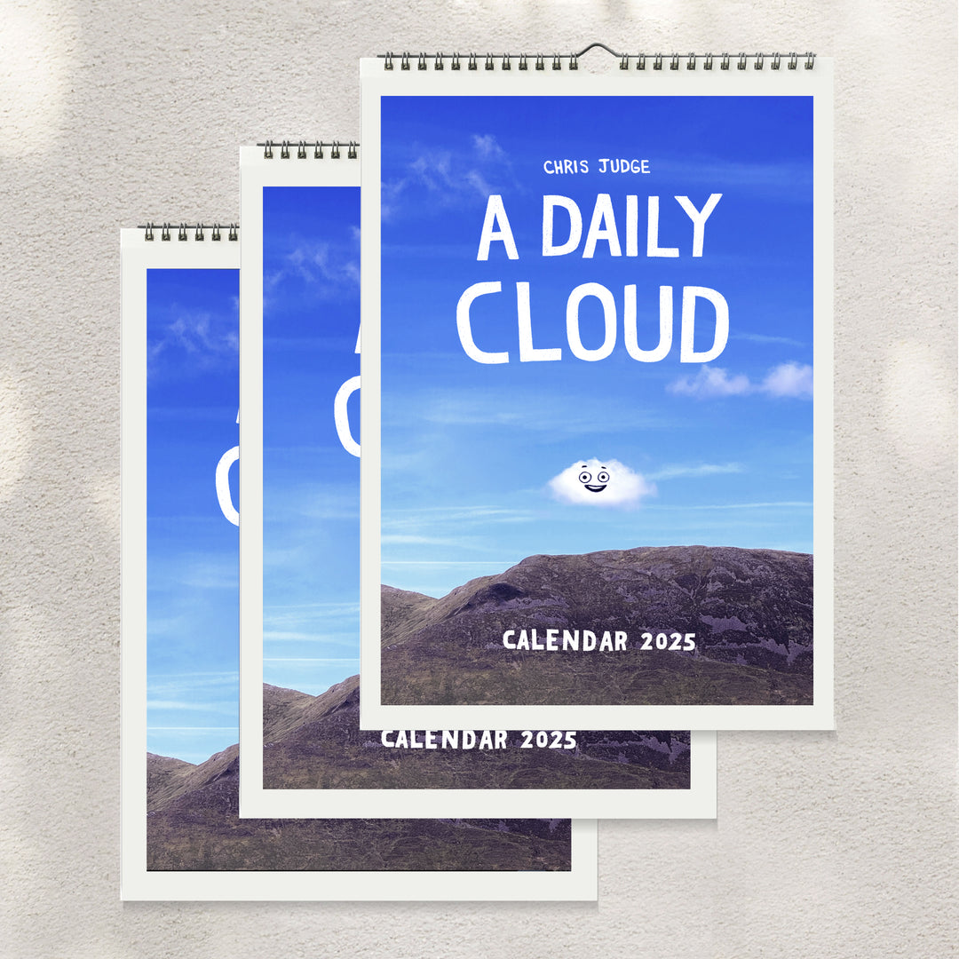 3 Calendar Gift Pack - Large Wall Calendar by A Daily Cloud 2025!