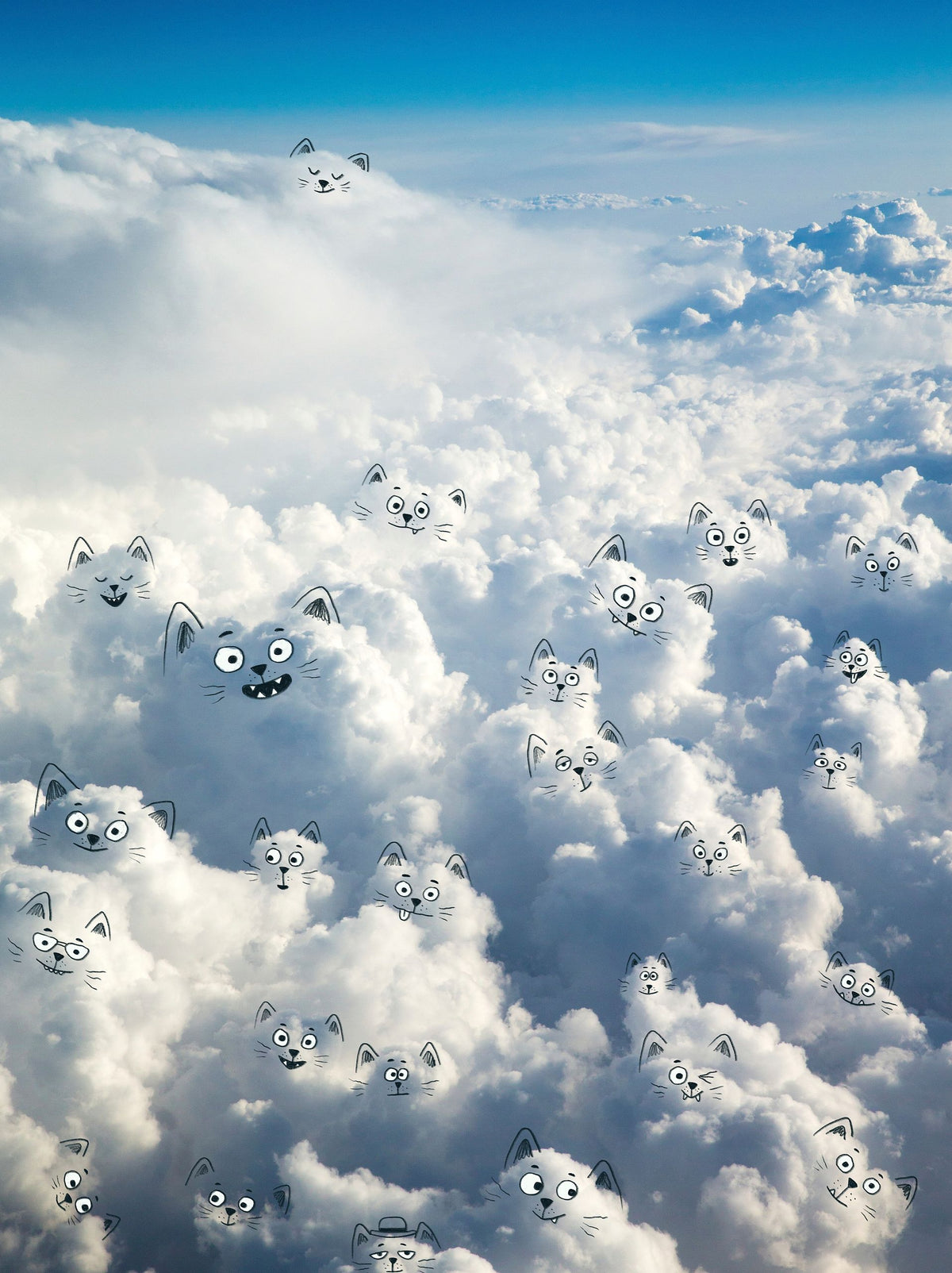 Cloud Cats