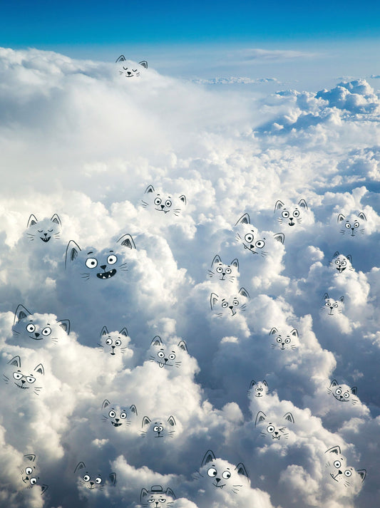 Cloud Cats