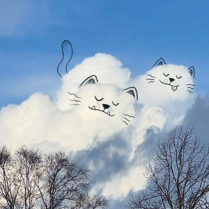Twocats on top of a cloud with a blue sky background