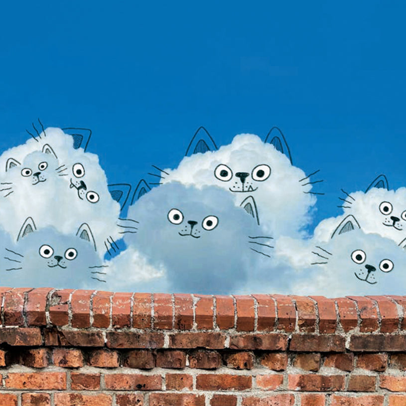 Cats peeking over a brick wall with a blue sky background