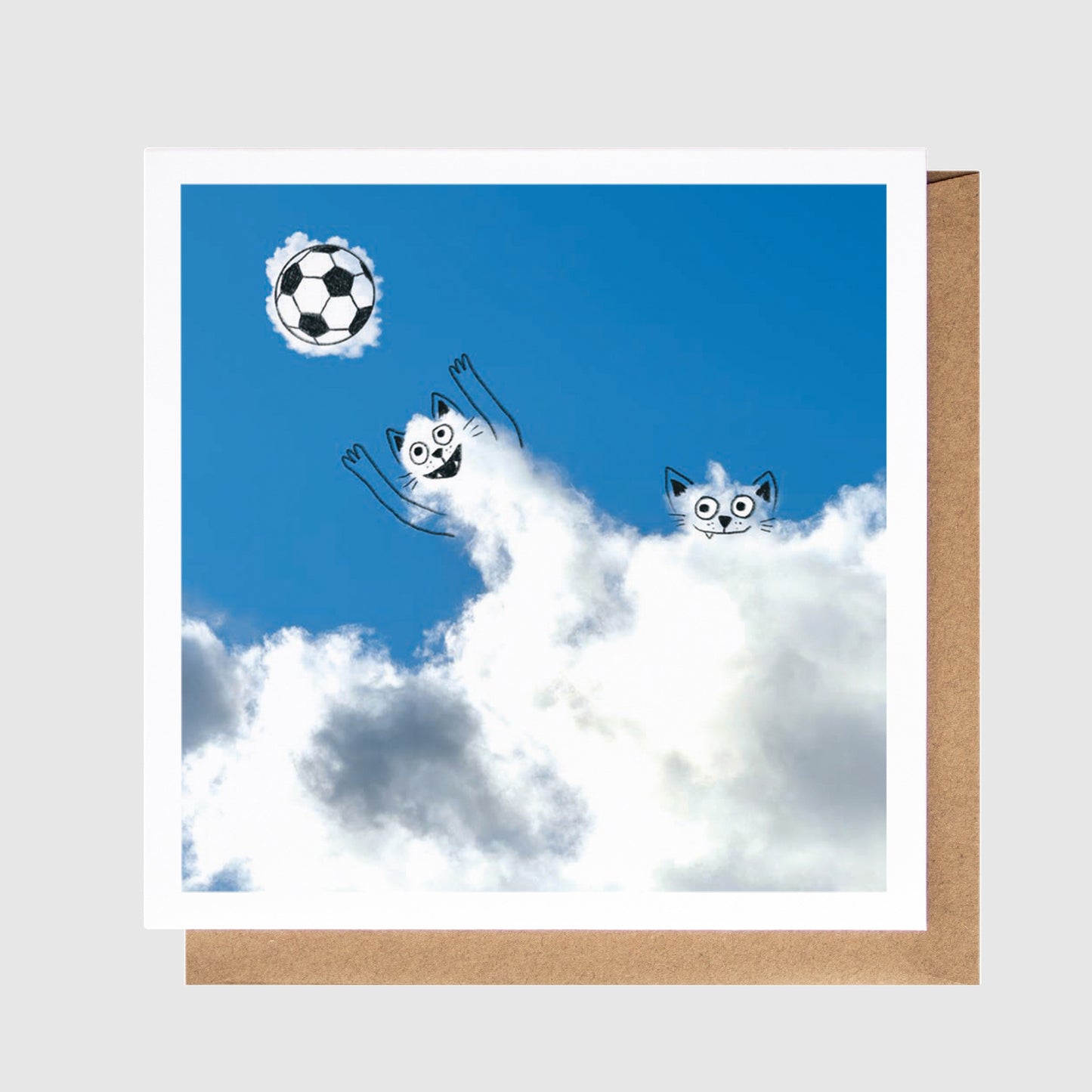 Cartoon of a panda playing with a soccer ball in the sky with clouds, framed by a white border.