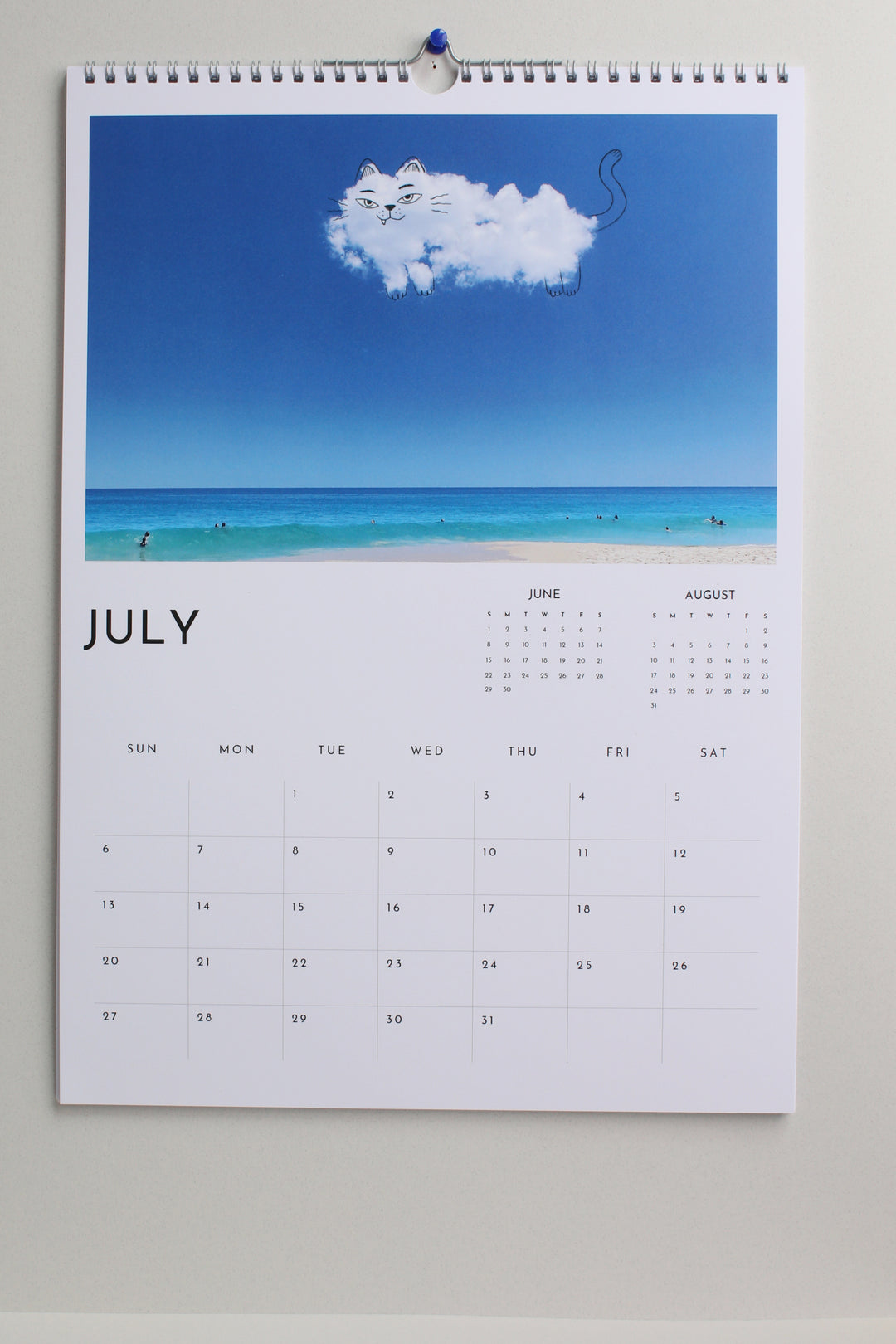 Large Wall Calendar by A Daily Cloud 2025! (1 calendar)