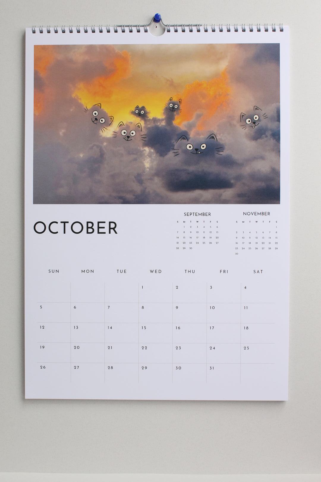 Large Wall Calendar by A Daily Cloud 2025! (1 calendar)