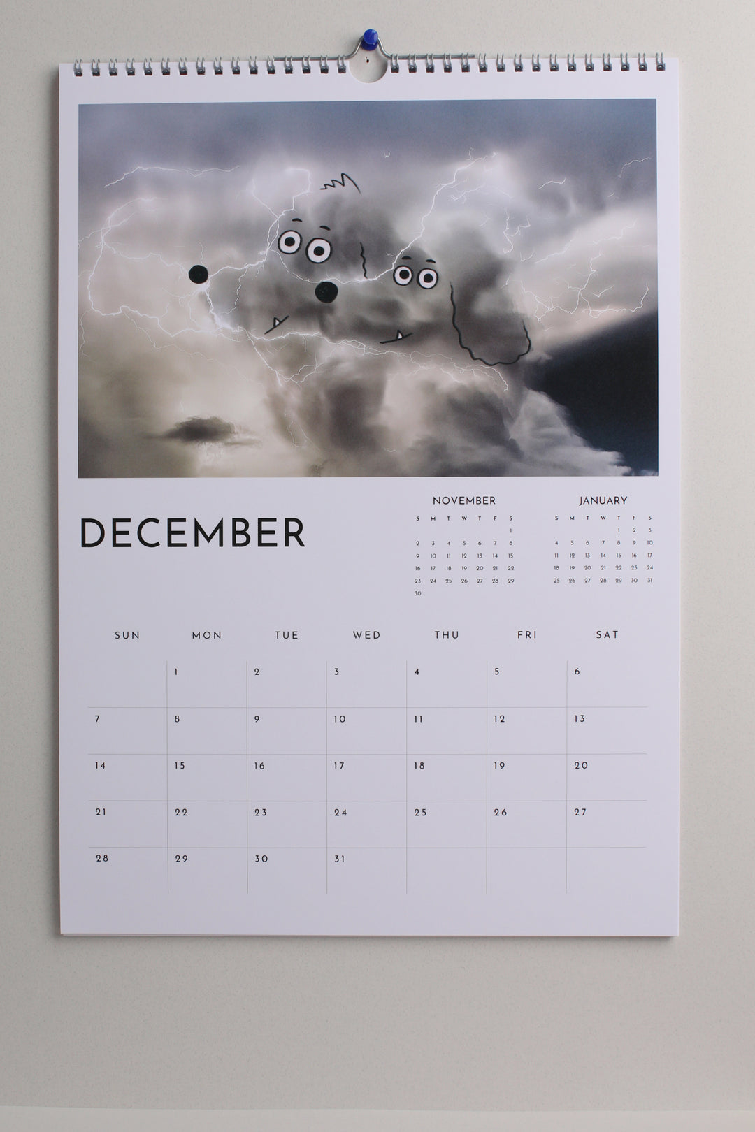 Large Wall Calendar by A Daily Cloud 2025! (1 calendar)