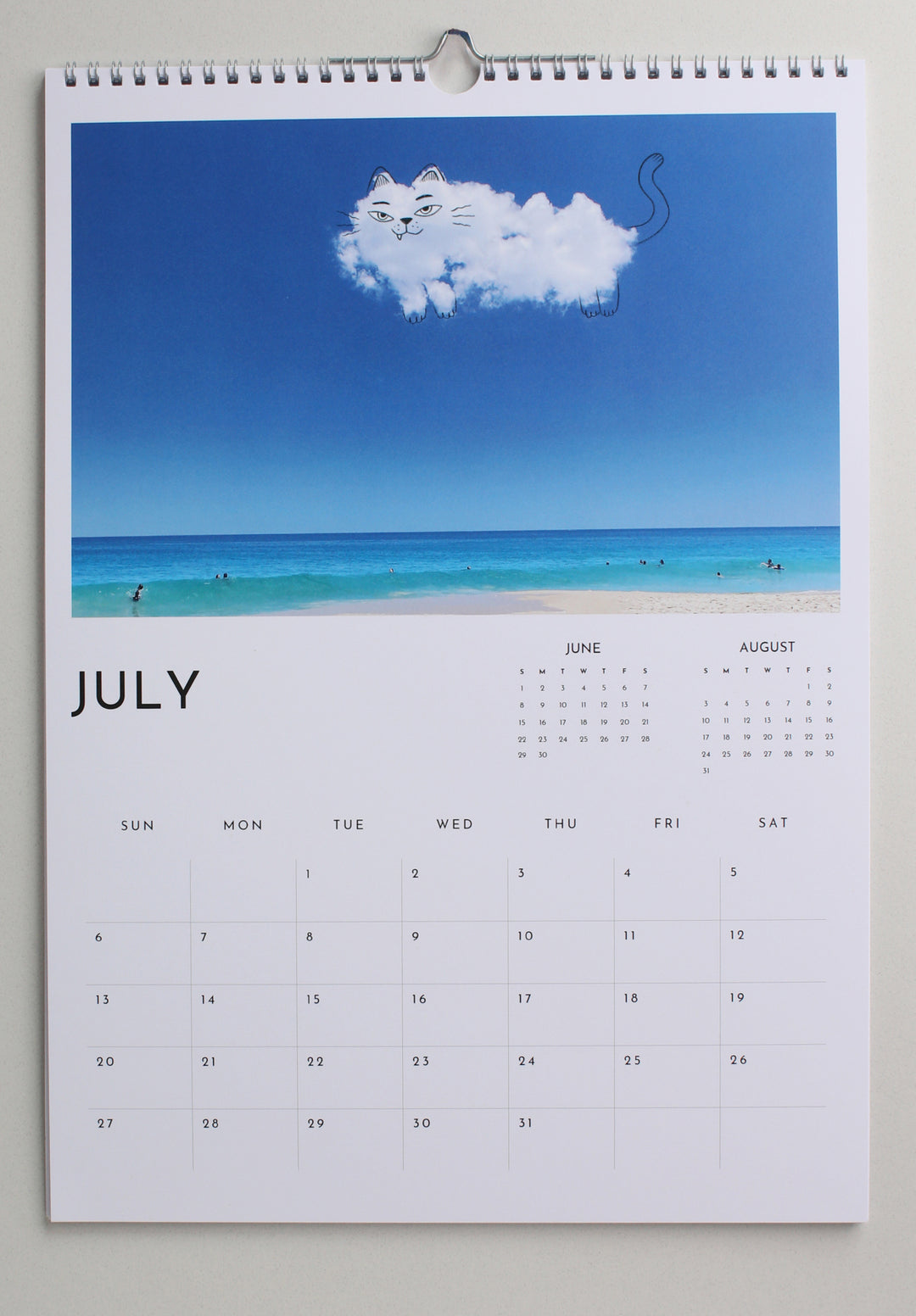 3 Calendar Gift Pack - Large Wall Calendar by A Daily Cloud 2025!