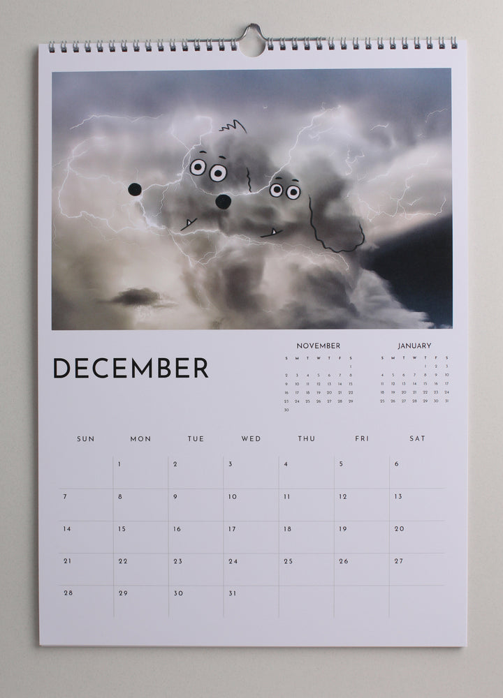 3 Calendar Gift Pack - Large Wall Calendar by A Daily Cloud 2025!