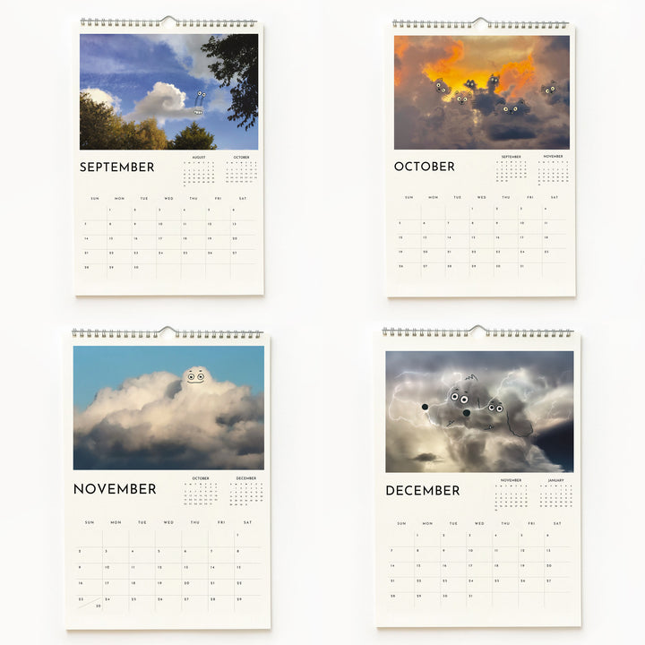 3 Calendar Gift Pack - Large Wall Calendar by A Daily Cloud 2025!